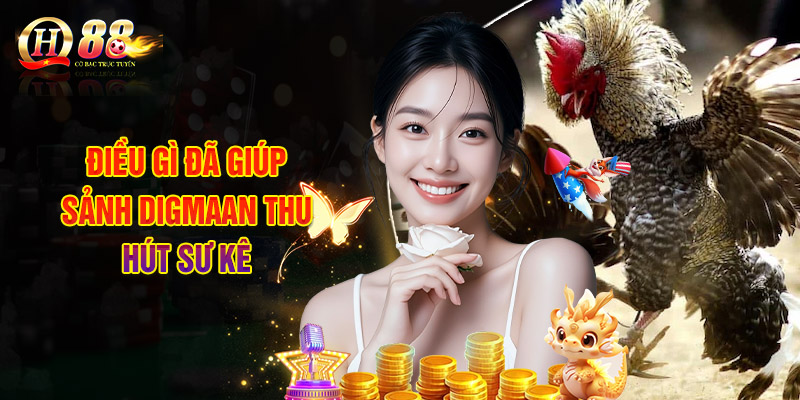 Sảnh Digmaan Tại QH88 | Sân Chơi Đá Gà Trực Tuyến Hấp Dẫn 2 Điều Gì Đã Giúp Sảnh Digmaan Thu Hút Sư Kê